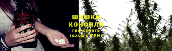 ALPHA PVP Беломорск