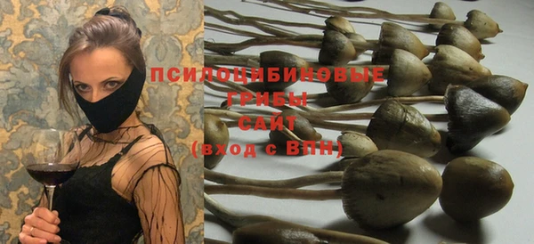 стафф Белокуриха
